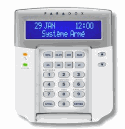 Odoo - Sample 1 for three columns